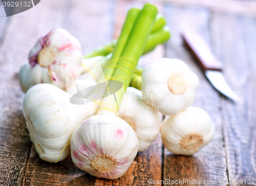 Image of garlic