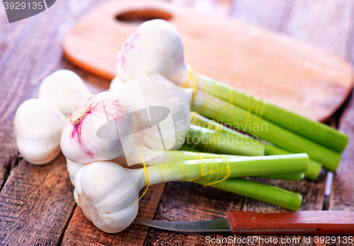 Image of garlic