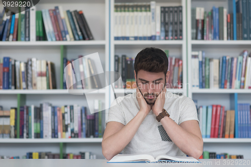 Image of student study  in school library