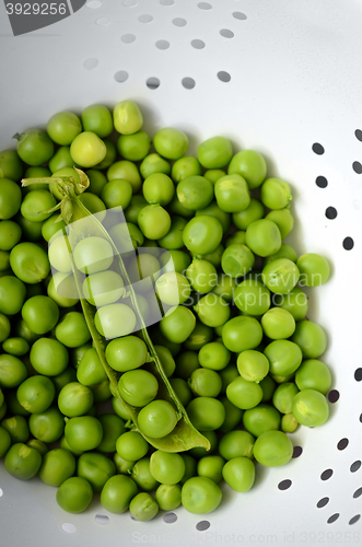 Image of Fresh  organic green peas