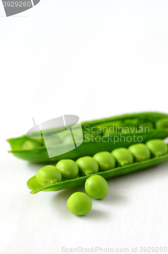 Image of Fresh  organic green peas