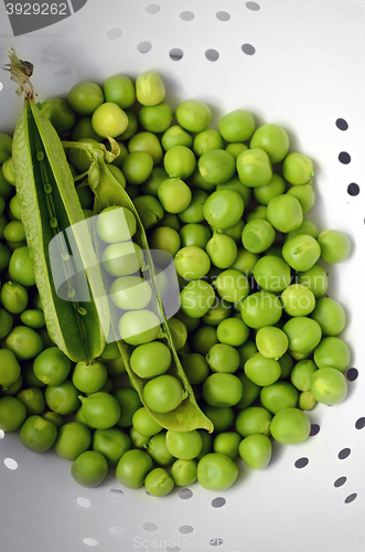 Image of Fresh  organic green peas