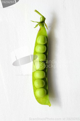 Image of Fresh  organic green peas