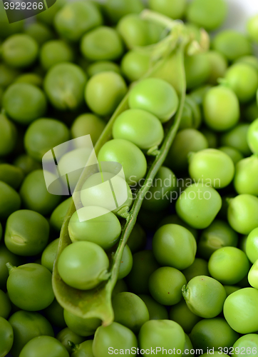 Image of Fresh  organic green peas