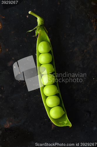 Image of Fresh  organic green peas