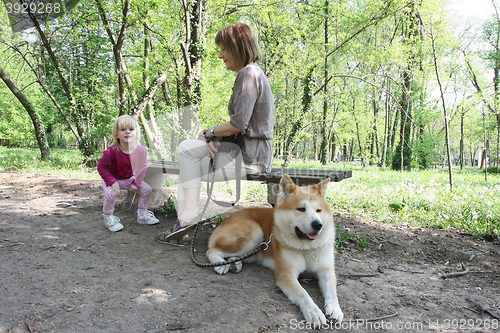 Image of Enjoying in public park