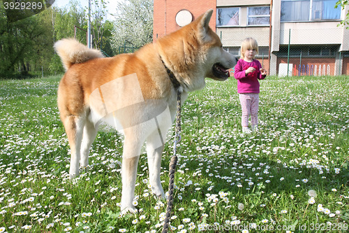 Image of Young girl and dog