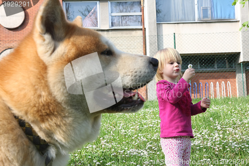 Image of Young girl and dog