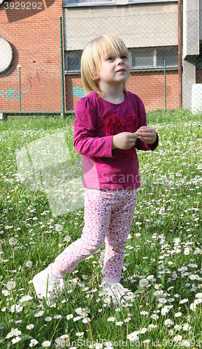 Image of Young girl in dandelion