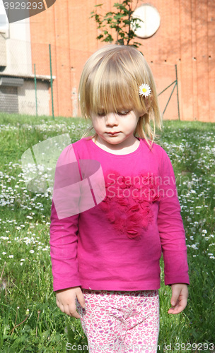 Image of Young girl in the meadow of dandelion