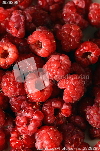 Image of Delicious fresh raspberries