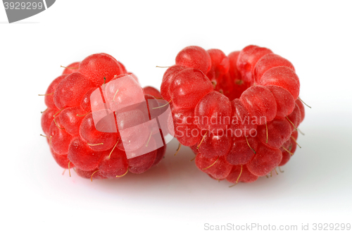 Image of Delicious fresh raspberries
