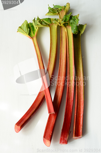 Image of Fresh organic rhubarb