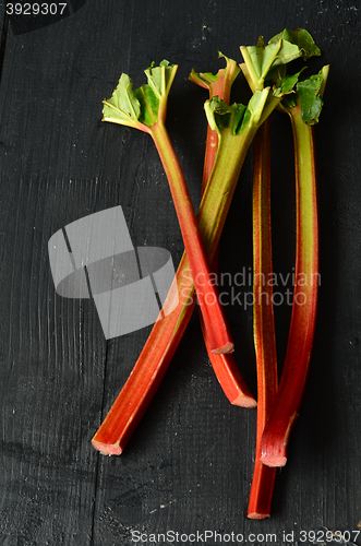 Image of Fresh organic rhubarb