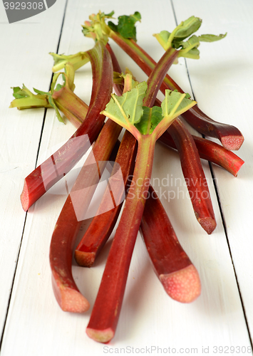 Image of Fresh organic rhubarb