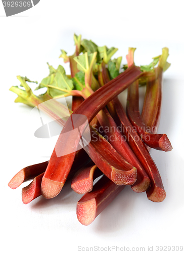 Image of Fresh organic rhubarb
