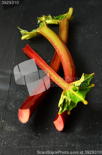 Image of Fresh organic rhubarb