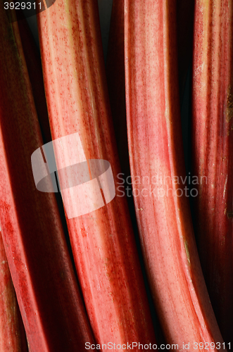 Image of Fresh organic rhubarb