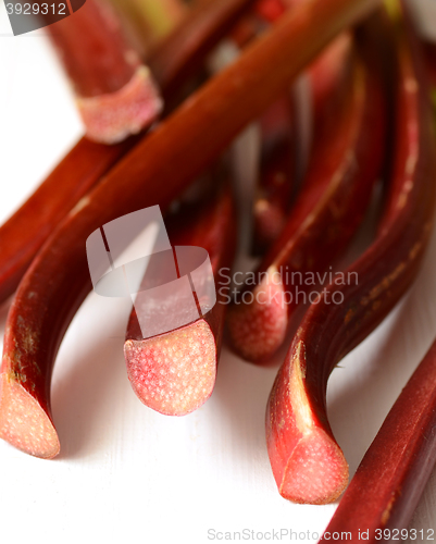 Image of Fresh organic rhubarb