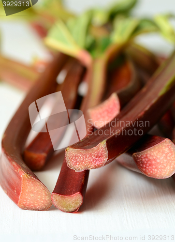 Image of Fresh organic rhubarb