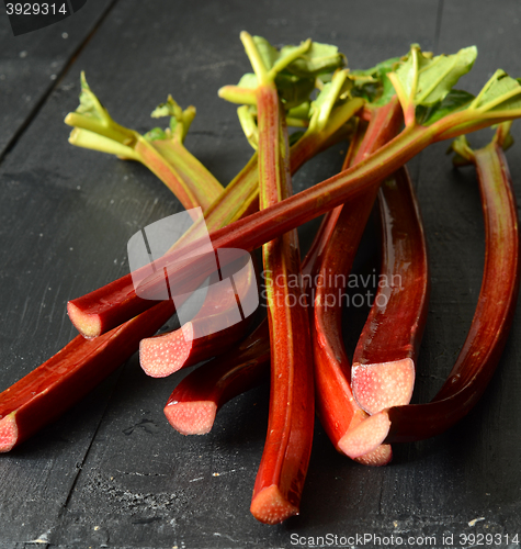 Image of Fresh organic rhubarb