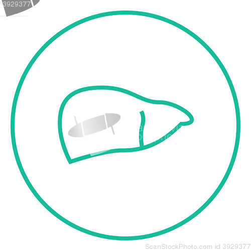 Image of Liver line icon.