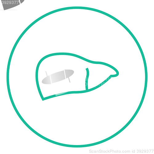 Image of Liver line icon.