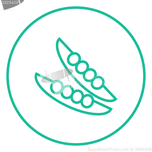 Image of Peapod line icon.