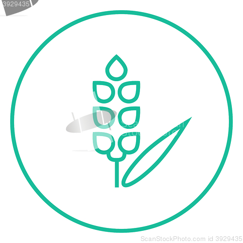 Image of Wheat line icon.