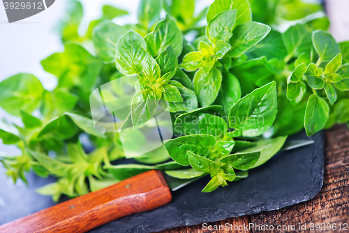 Image of marjoram