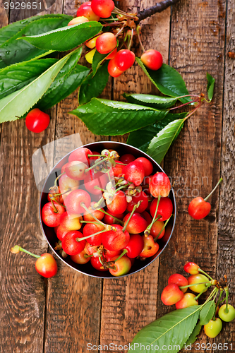 Image of Cherry