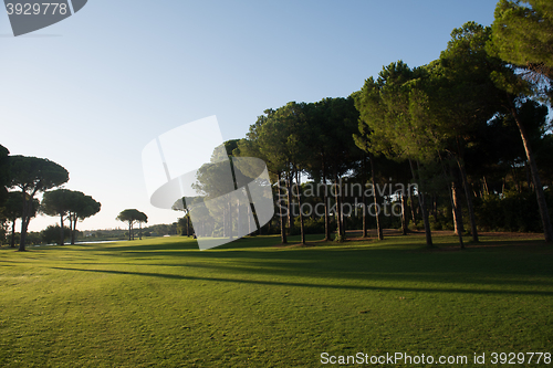 Image of golf course