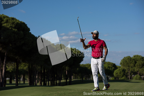 Image of golf player walking and carrying driver