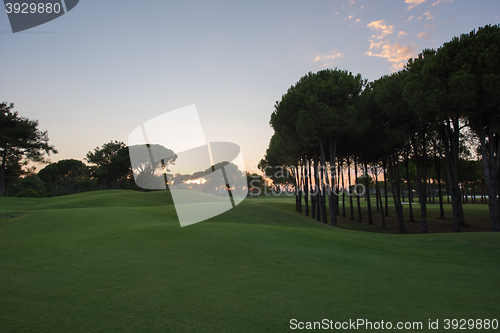 Image of golf course on sunset