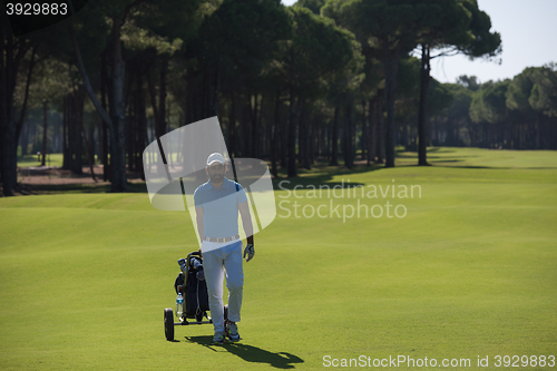 Image of golf player walking with wheel bag