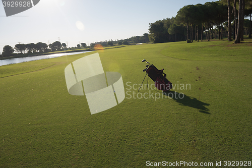 Image of golf bag on course