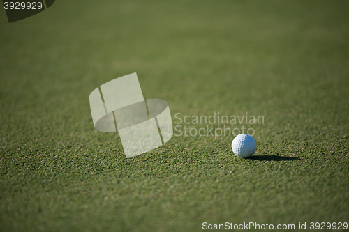 Image of golf ball on grass