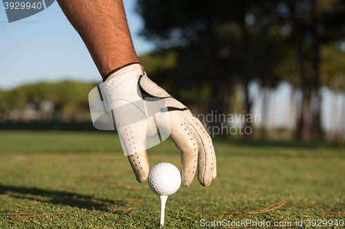 Image of close up of golf players hand placing ball on tee