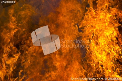 Image of Outdoor burning fire and open flame