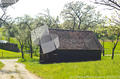 Image of Woodshed with slate roof