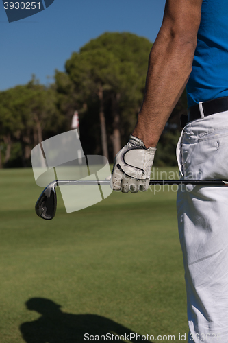 Image of golf player portrait from back