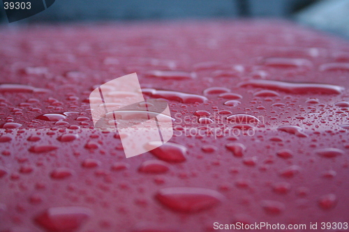 Image of Waterdrops