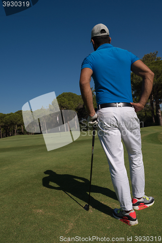 Image of golf player portrait from back