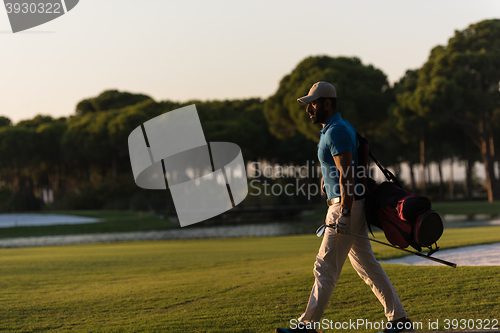 Image of golfer  walking and carrying golf  bag at beautiful sunset