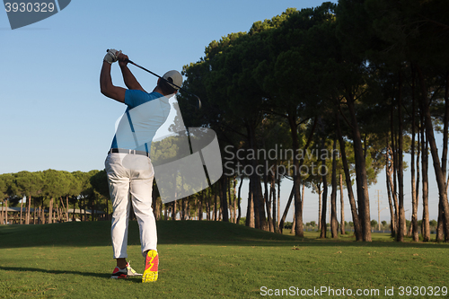 Image of golf player