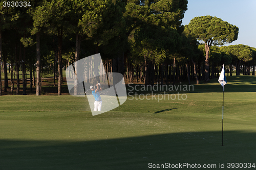 Image of pro golfer hitting a sand bunker shot