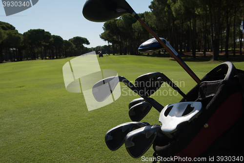 Image of close up golf bag on course