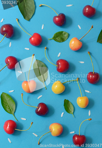 Image of Abstract cherry isolated 