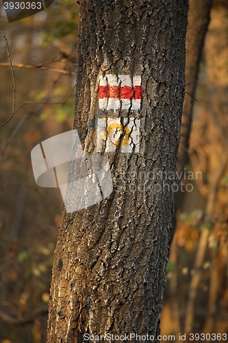 Image of Hiking trail signs