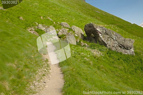 Image of Alpine Summer Landscape